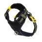 Preview: DOOG Neotech Geschirr BOLT Gr. M Preview: DOOG Neotech Geschirr BOLT Gr. M